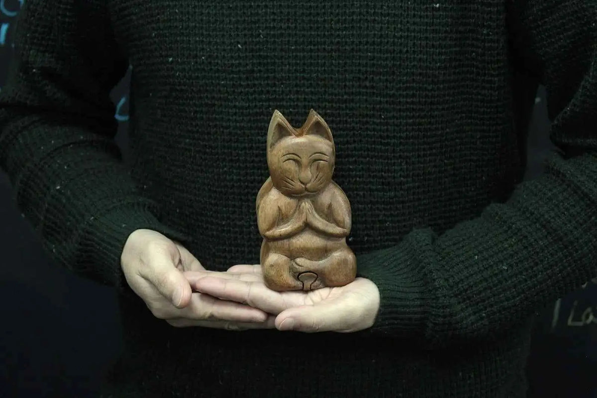 Bali Magic Box Yoga Cat